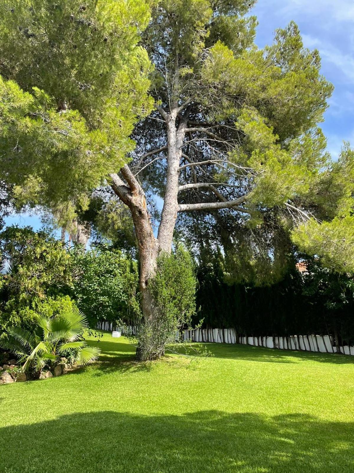 Casa Mediterranea Con Gran Jardin Y Piscina A 500 M De La Playa Roda de Bará Exterior foto